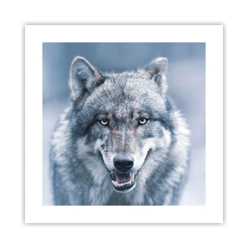 Poszter - Vállalod a kihívást? - 40x40 cm