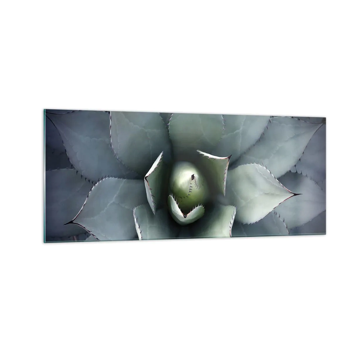 Üveg kép - Wabi és figyelmeztetés - 100x40 cm
