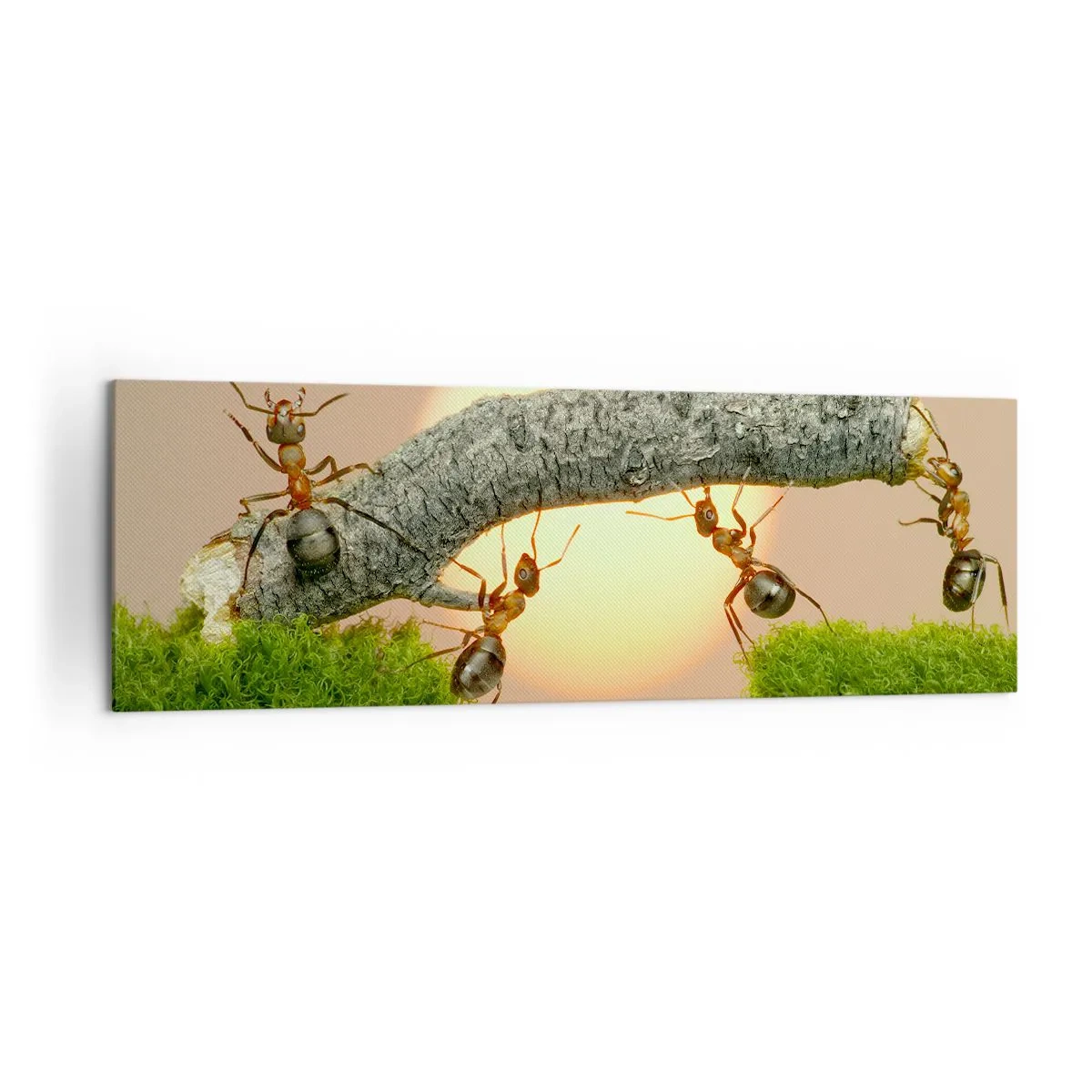 Vászonkép - Boldog, közös munka - 160x50 cm