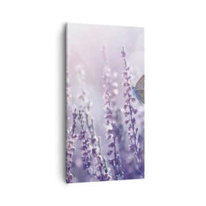 Vászonkép - Pillangó csókja - 55x100 cm