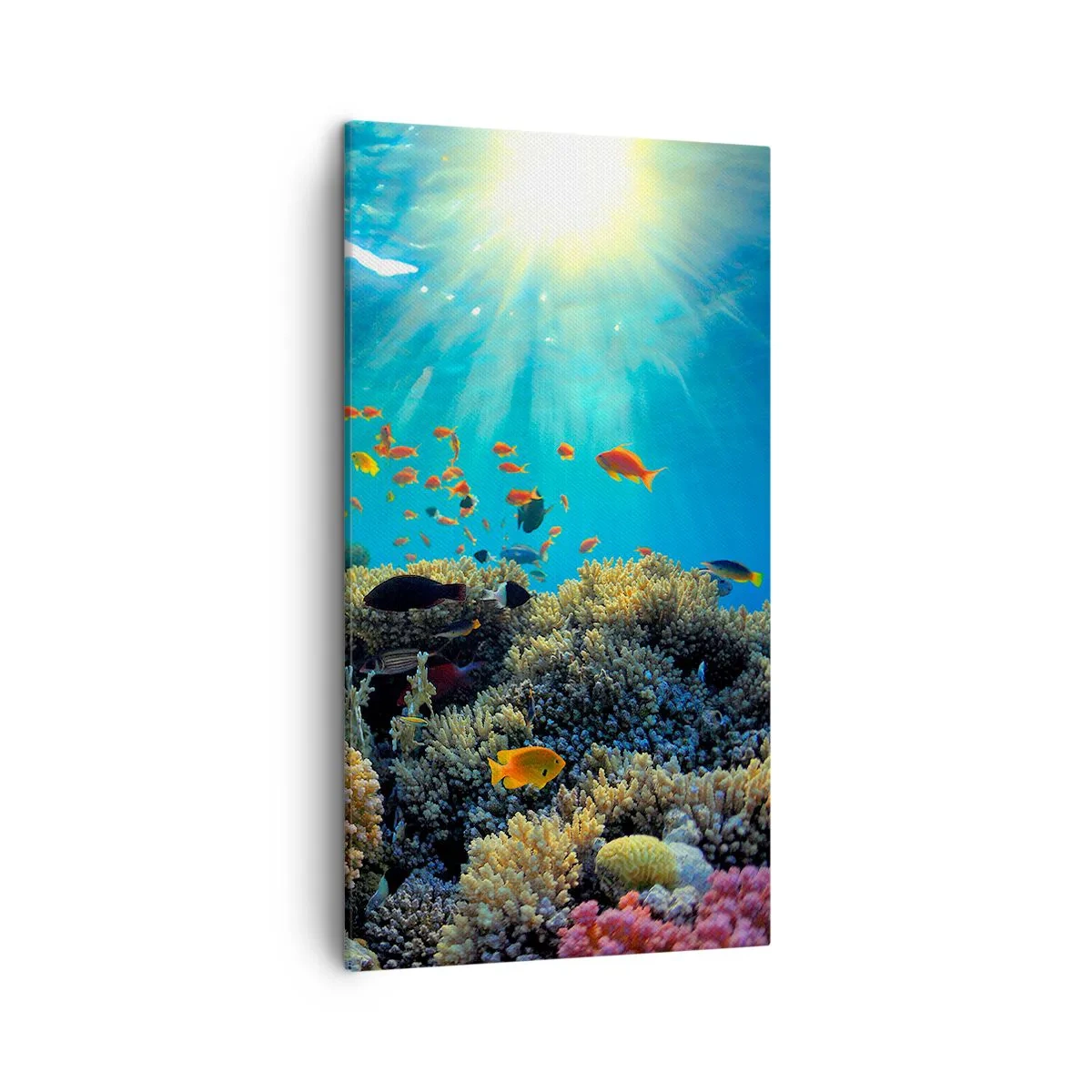 Vászonkép - Víz alatti kincsek - 45x80 cm