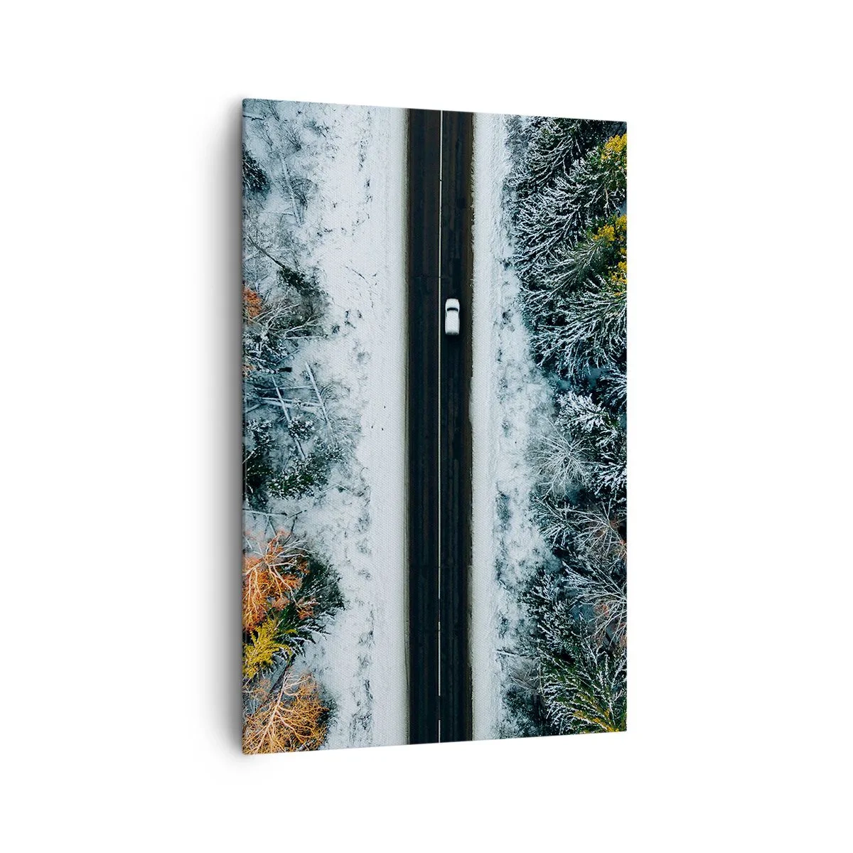 Vászonkép - Átvágni a téli erdőn - 80x120 cm