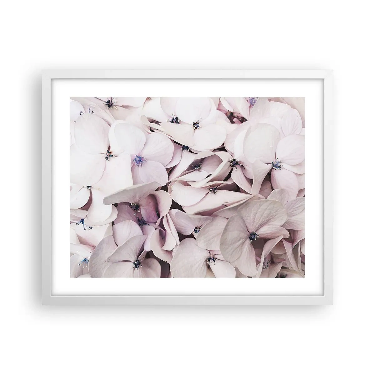 Poszter fekete keretben - A virágok áradatában - 50x40 cm