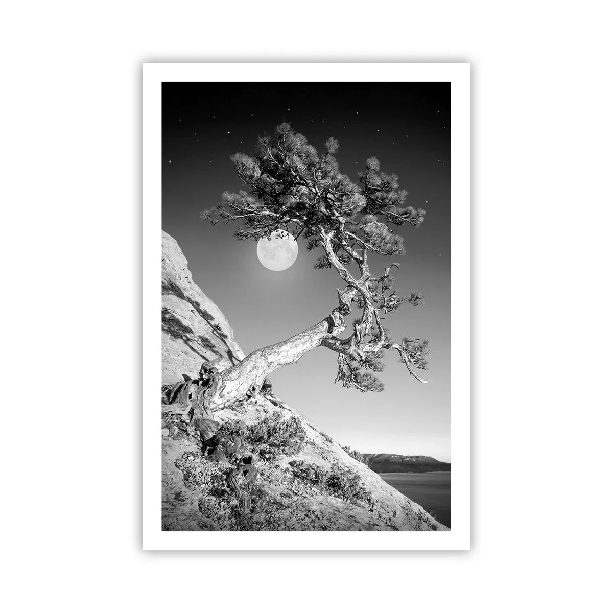 Poszter - Győztes harcos - 61x91 cm