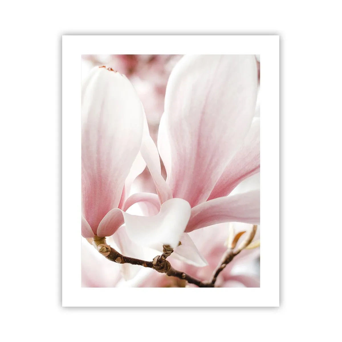 Poszter - Határtalan gyengédség - 40x50 cm