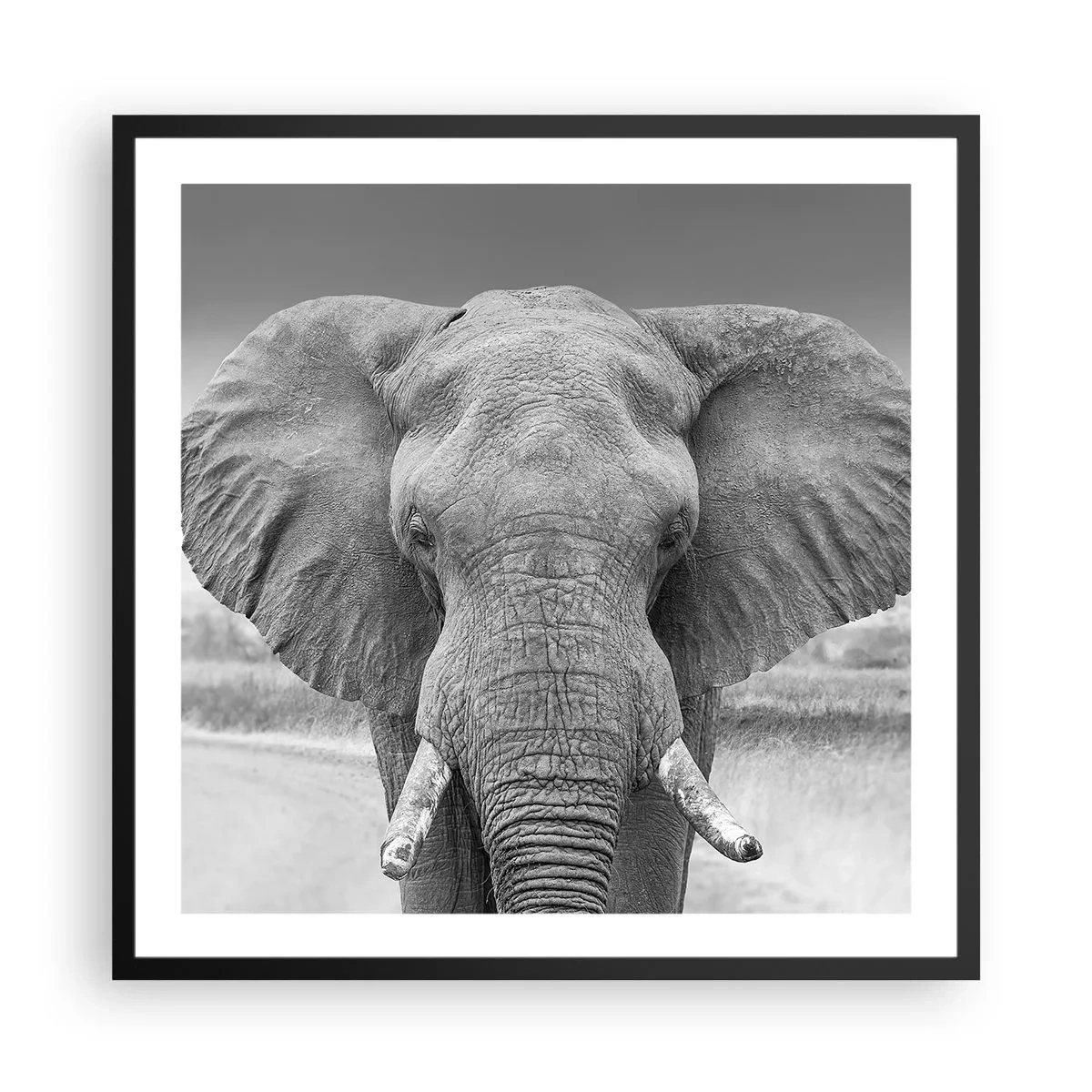 Poszter fehér keretben - Üdv a világomban - 60x60 cm