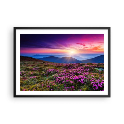 Poszter fehér keretben - A gyógynövények friss fürtjei illatoztak a mezőkről - 70x50 cm