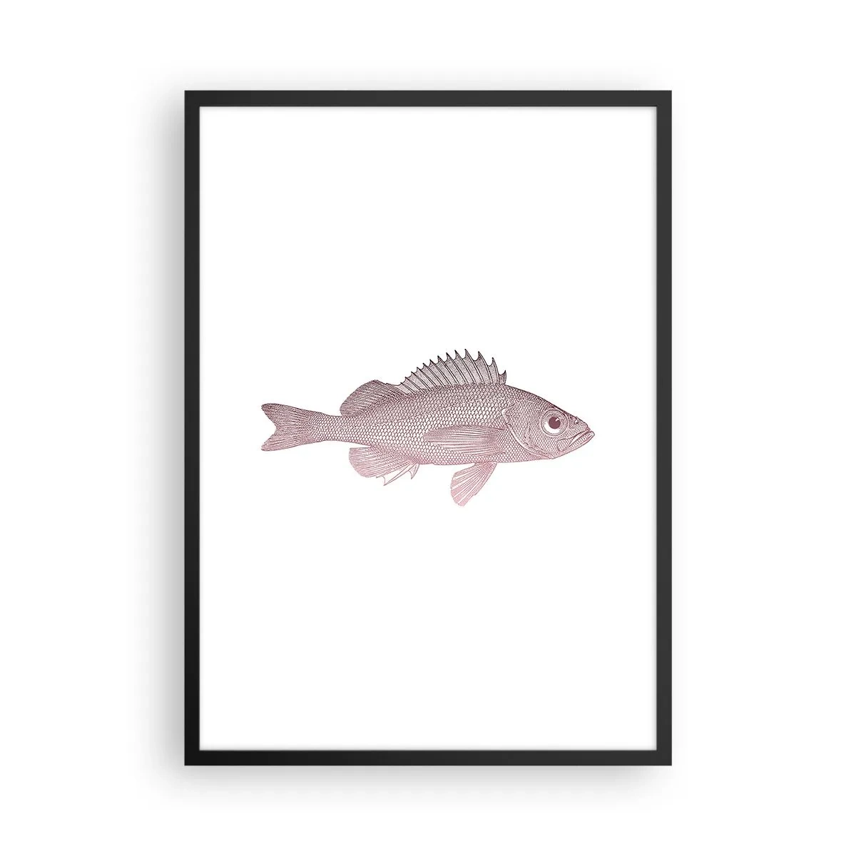 Poszter fehér keretben - Hal grafika fehér alapon minimalista stílusban - 50x70cm - Nagyszemű hal - Modern fali dekoráció nappalihoz és hálószobához ARTTOR