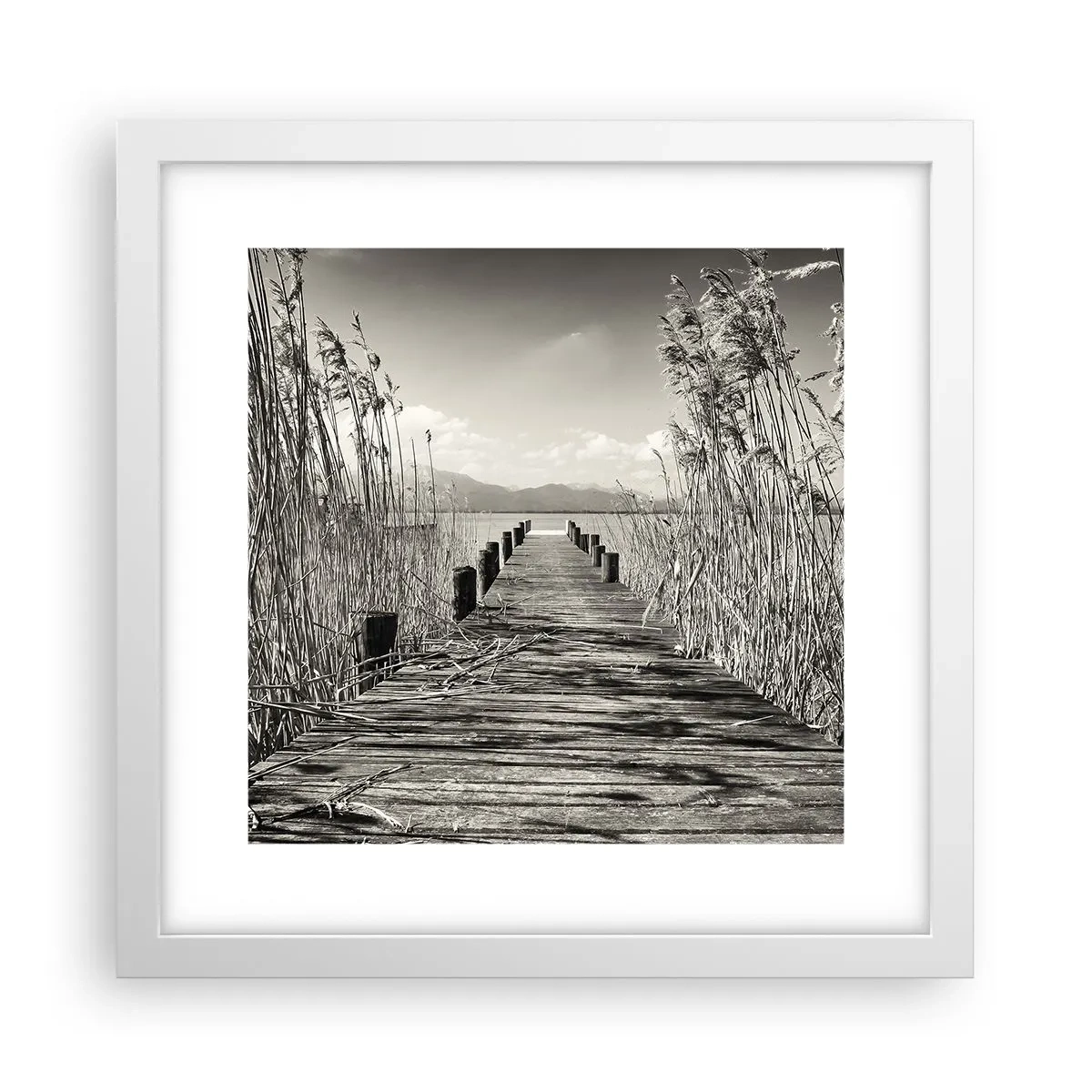 Poszter fekete keretben - A fű csendjében - 30x30 cm