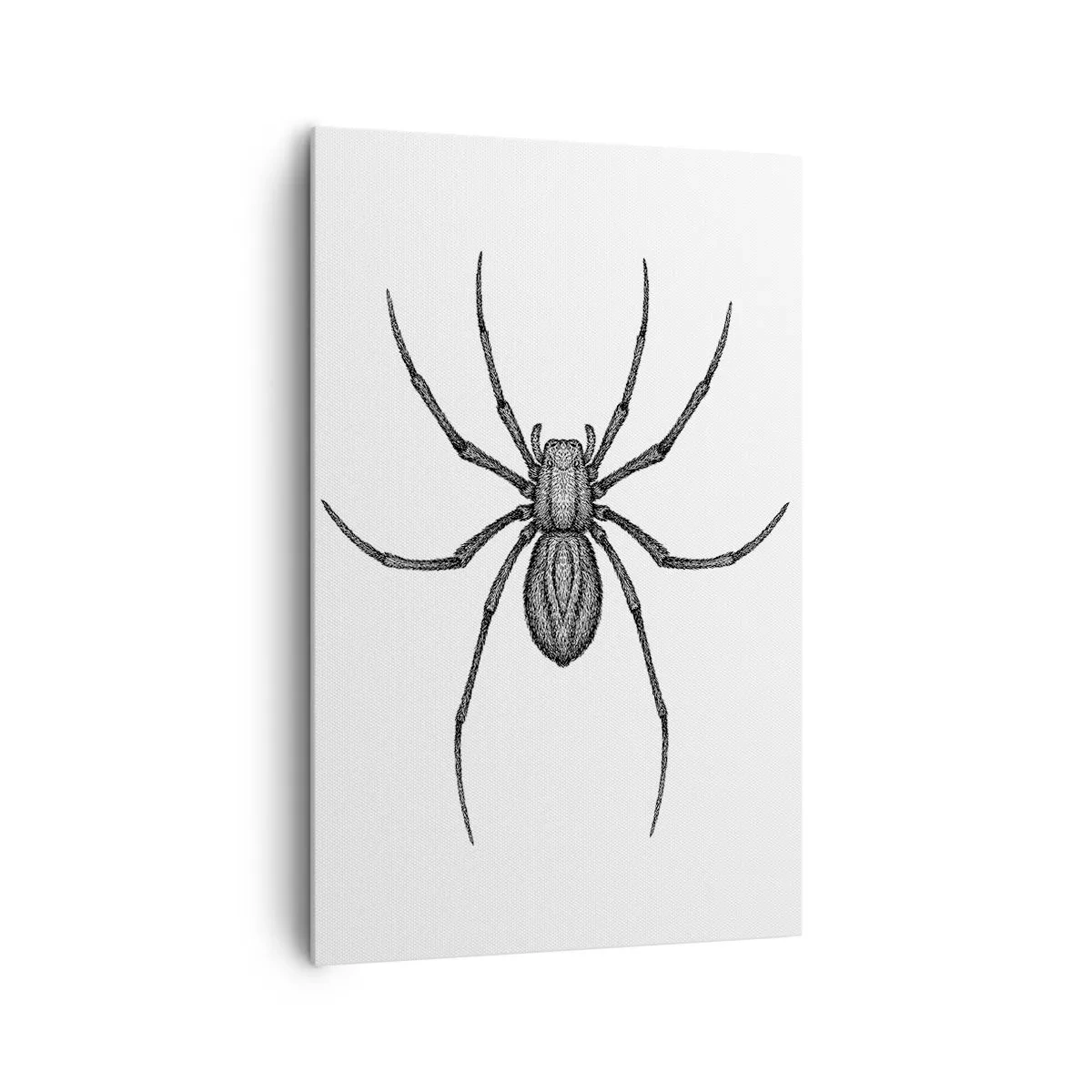 Vászonkép - Zavaró precizitás - 80x120 cm