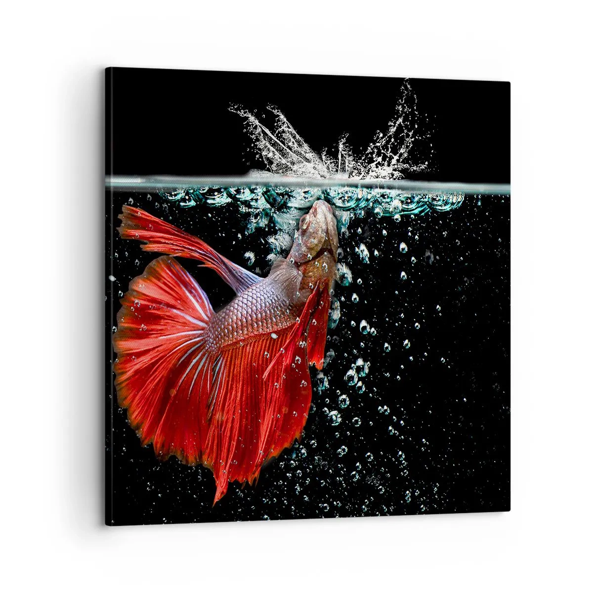 Vászonkép - Három kívánságod van - 60x60 cm