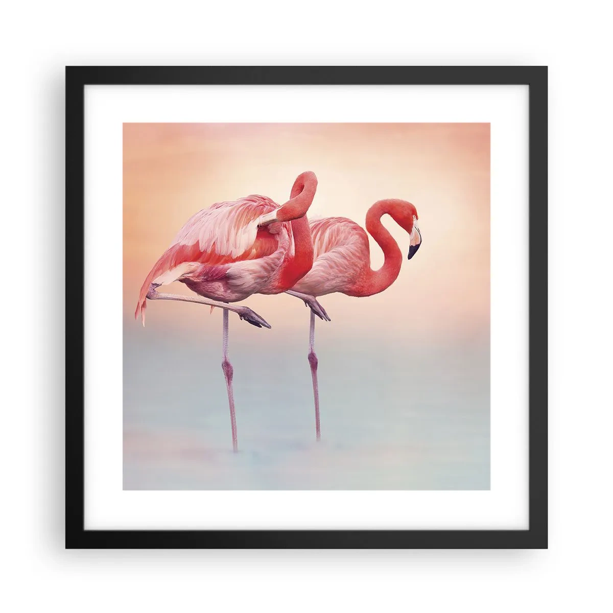 Poszter fehér keretben - A lenyugvó nap színe - 40x40 cm