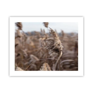 Poszter - Ideje elrepülni a széllel - 50x40 cm