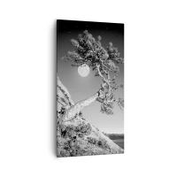 55x100 cm | Függőleges