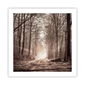 Poszter - Erdei katedrális - 50x50 cm