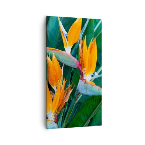 Vászonkép - Virág vagy madár? - 55x100 cm