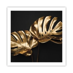 Poszter - A természet kincsei - 60x60 cm