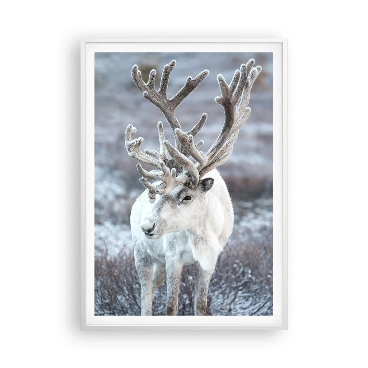 Poszter fekete keretben - Portré a napon - 70x100 cm