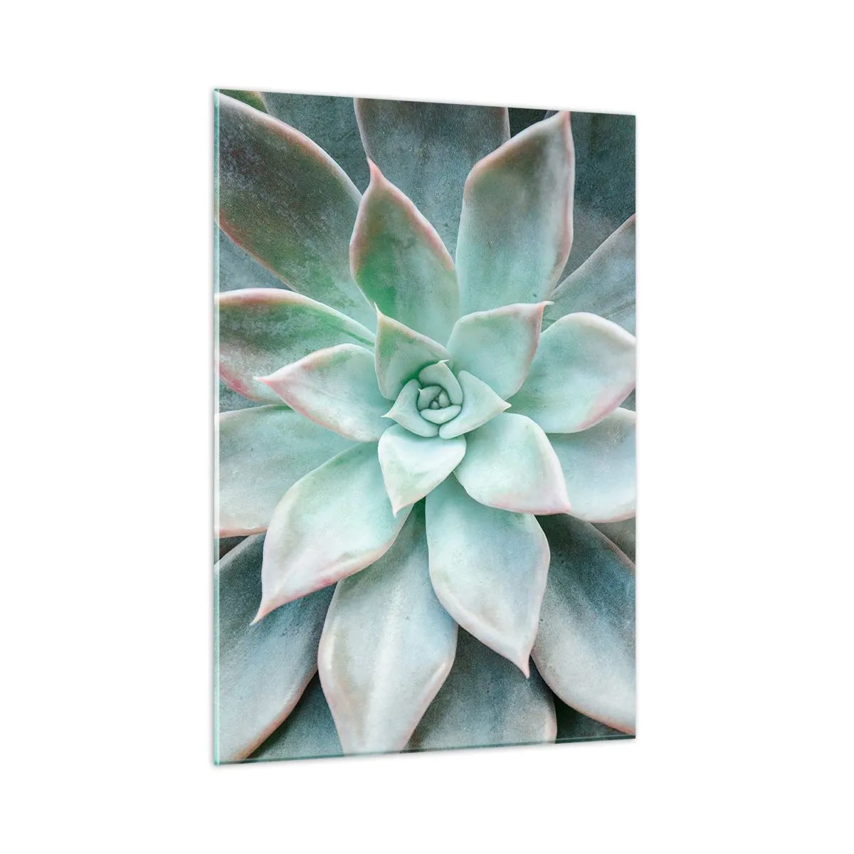 Üveg kép - A sivatag szíve - 50x70 cm
