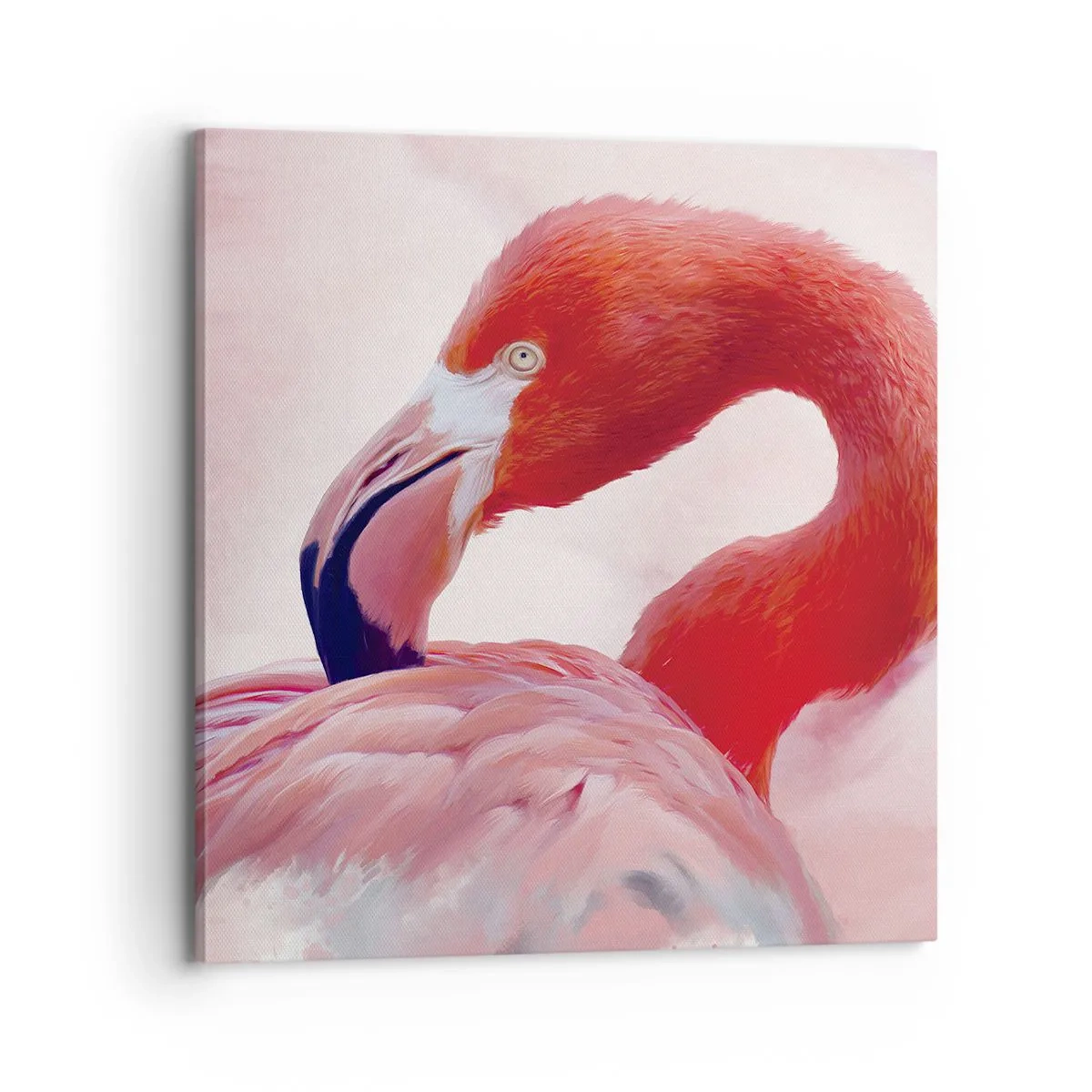 Vászonkép - Madári szépség - 70x70 cm