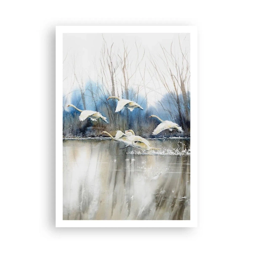 Poszter - Mint a vadhattyúkról szóló mesében - 70x100 cm