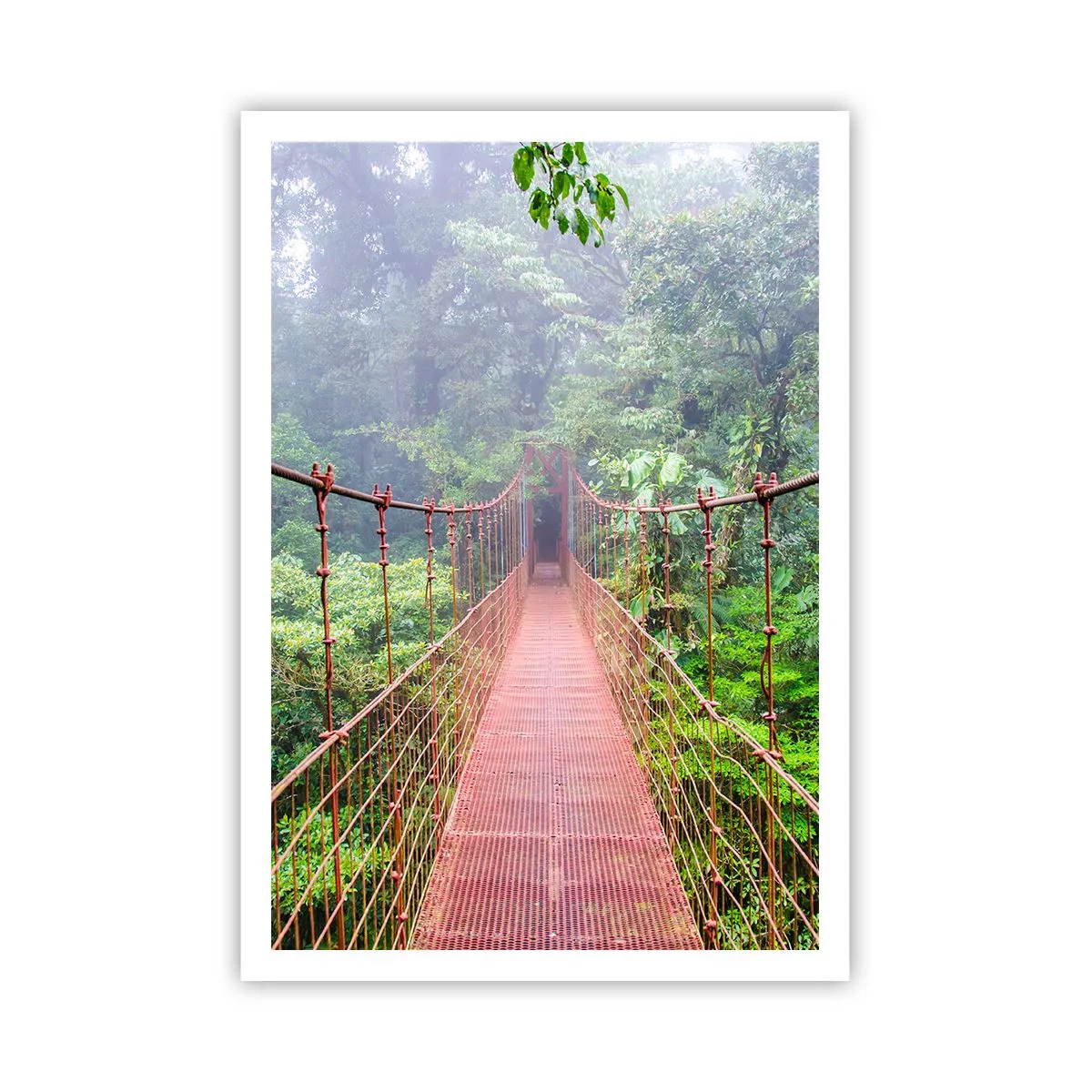 Poszter - A lomkoronák fölé függesztve - 70x100 cm