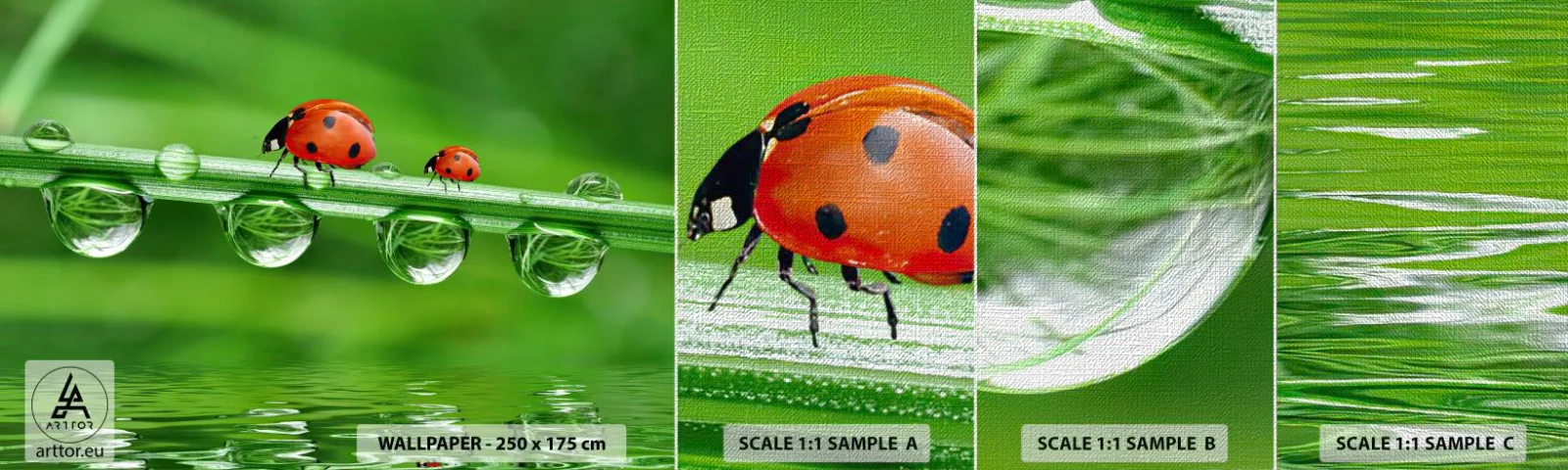 Fotótapéta Minta Premium Canvas - Egész nyáron az úton - Katicabogár, Egy csepp víz, Természet - 100x30 cm
