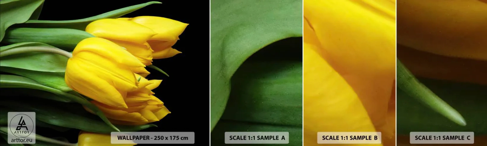 Fotótapéta Minta Standard Eco - Tiszta napból készült - Virágok, Tulipánok, Csokor virág - 100x30 cm