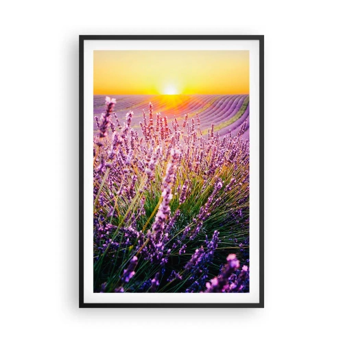 Poszter fehér keretben - Illatos szálak - 61x91 cm