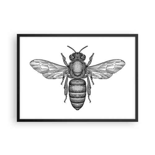 Poszter fehér keretben - Rovar portré - 70x50 cm
