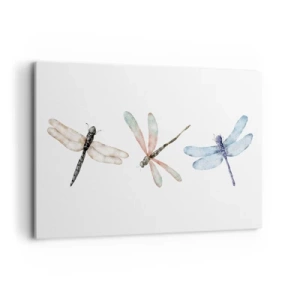 Vászonkép - Súlytalan szitakötők - 120x80 cm