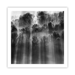 Poszter - Fénypatakokban - 60x60 cm