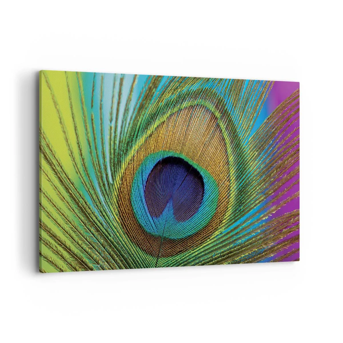 Vászonkép - Szemtől szemben - 100x70 cm