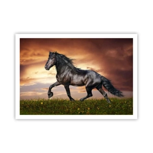 Poszter - Fekete herceg - 100x70 cm