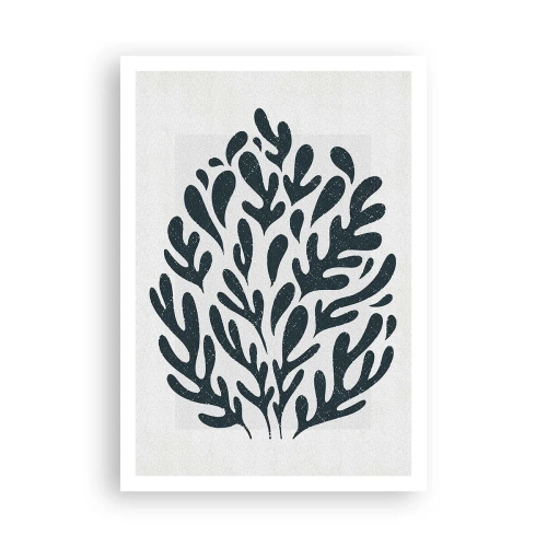 Poszter - A természet formái - 70x100 cm