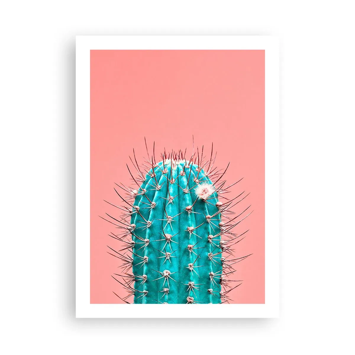 Poszter - Csak nézz - 50x70 cm