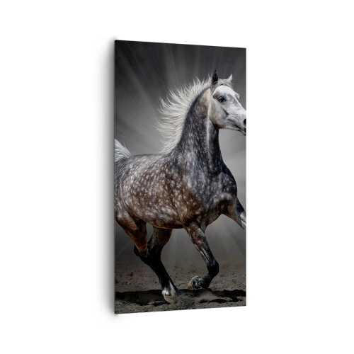 Vászonkép - A szürke gyönyörű - 65x120 cm