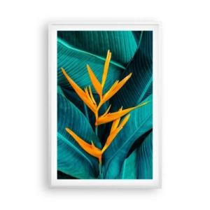 Poszter fekete keretben - Éden virága - 61x91 cm