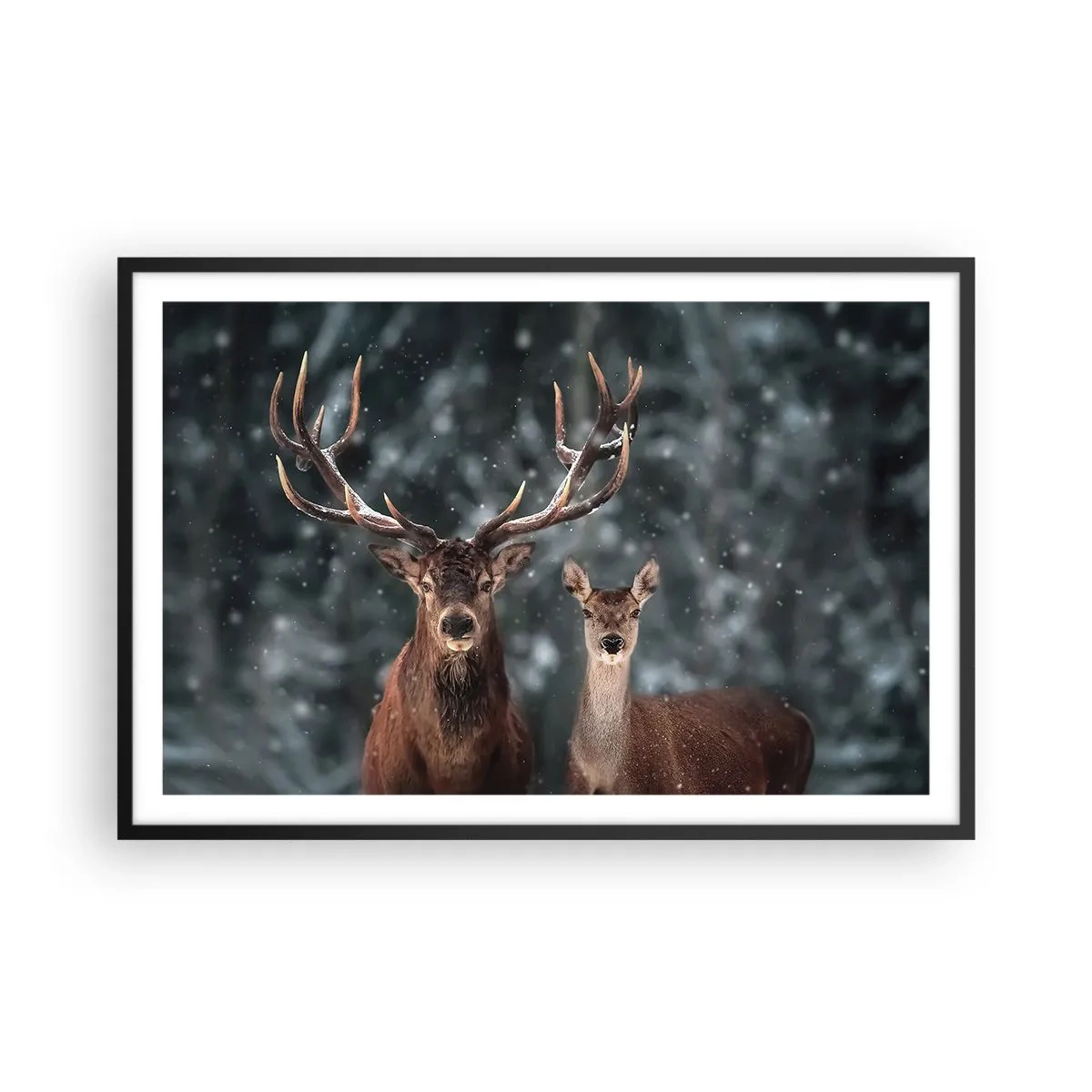 Poszter fehér keretben - Az erdő ura a feleségével - 91x61 cm