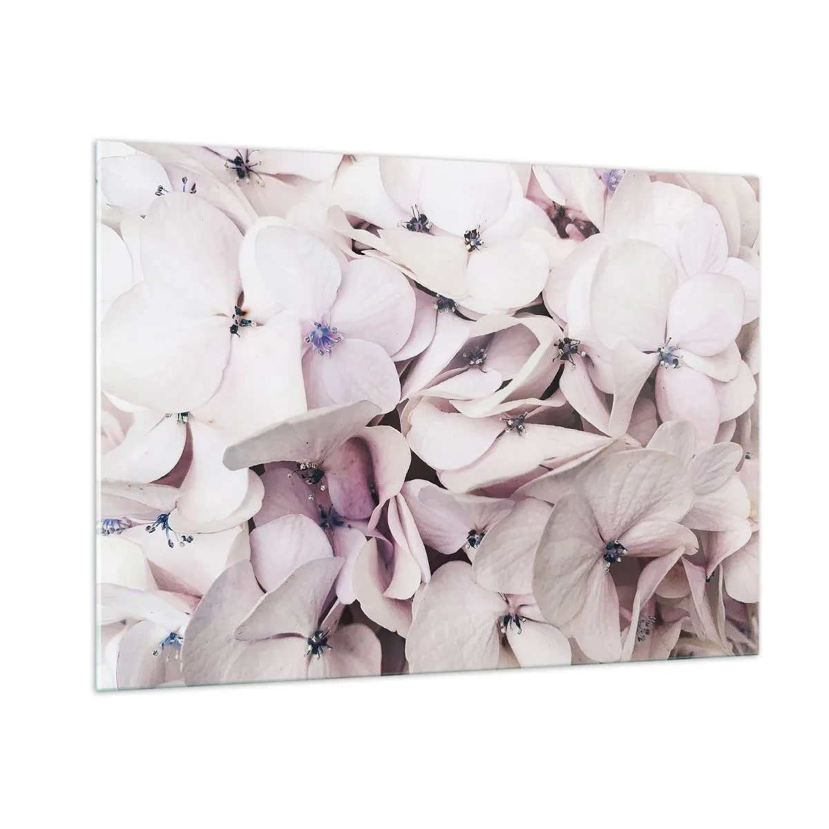 Üveg kép - A virágok áradatában - 100x70 cm