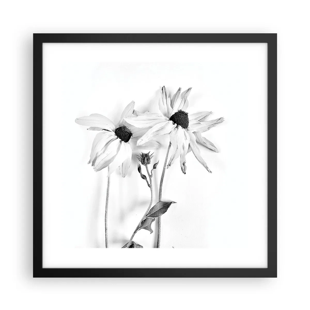 Poszter fehér keretben - Senki sem akar egyedül lenni - 40x40 cm