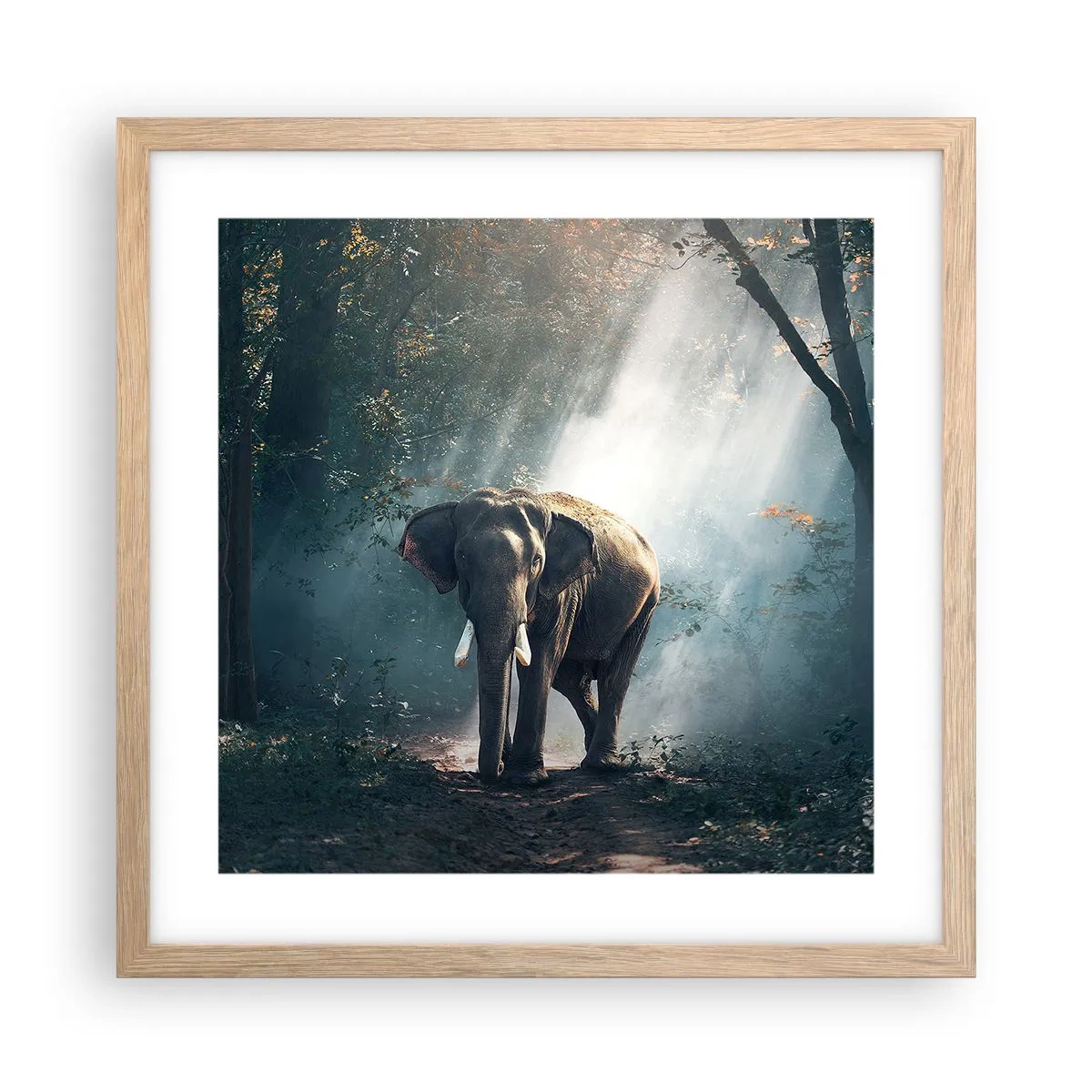 Poszter világos tölgy keretben - Nyugodt séta - 40x40 cm