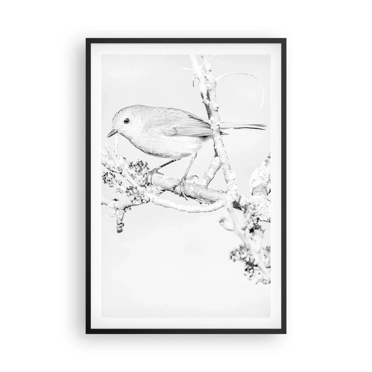 Poszter fehér keretben - Téli reggel - 61x91 cm