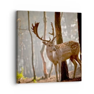 Vászonkép - A fiatalság fénye - 30x30 cm