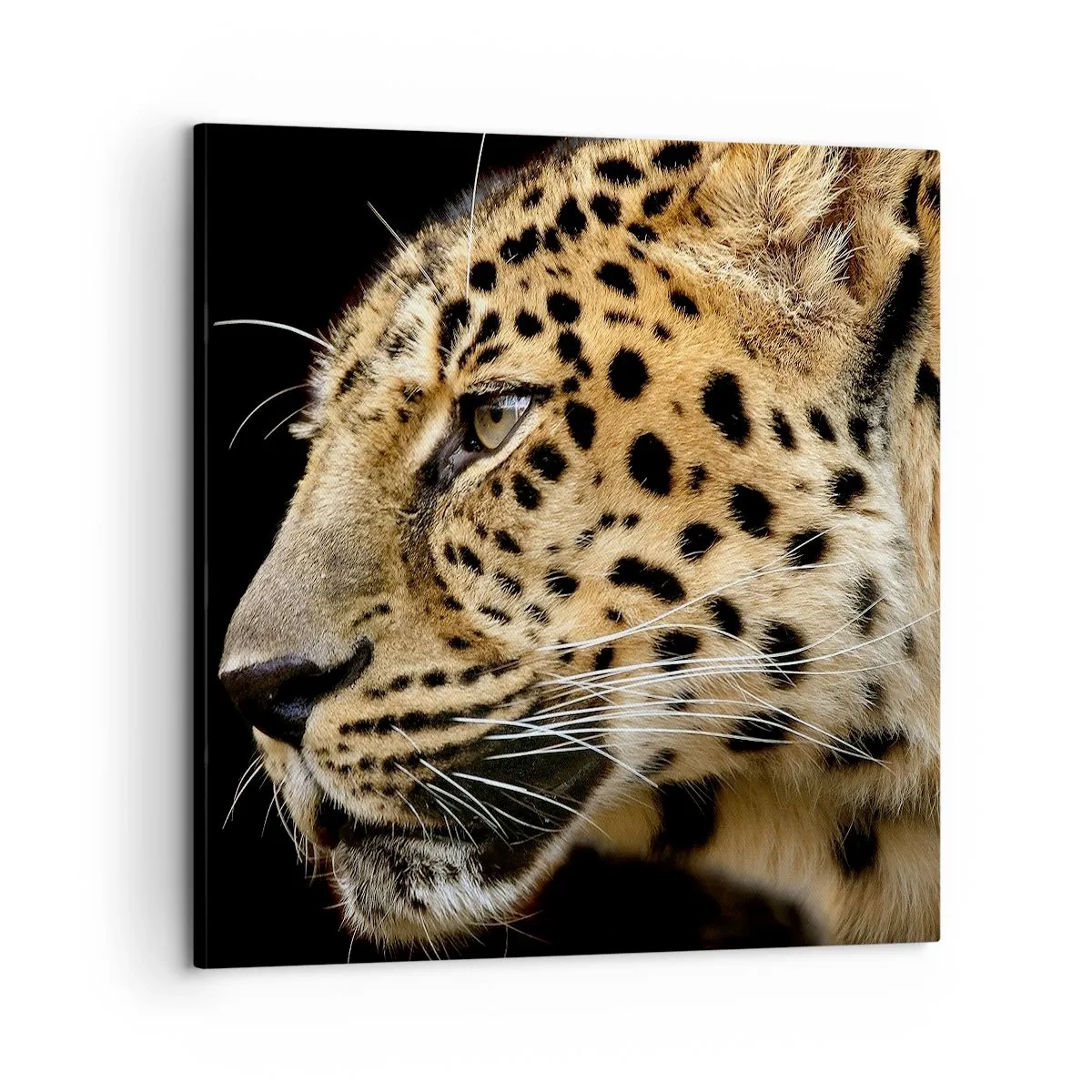 Vászonkép - Nyugodt, koncentrált, kész - 60x60 cm