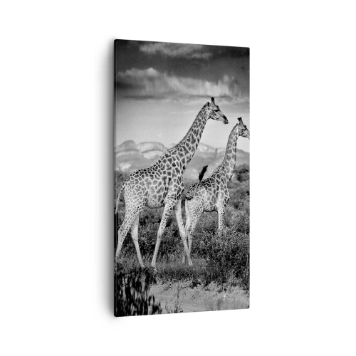 Vászonkép - Magas rangok Afrikában - 55x100 cm