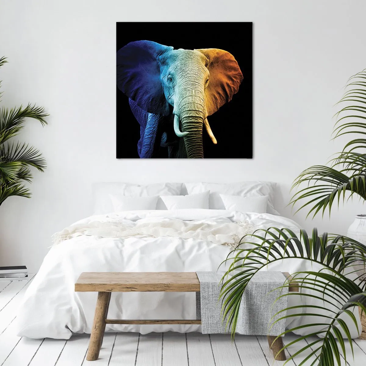 Vászonkép - Excentrikus, nem különc - 70x70 cm