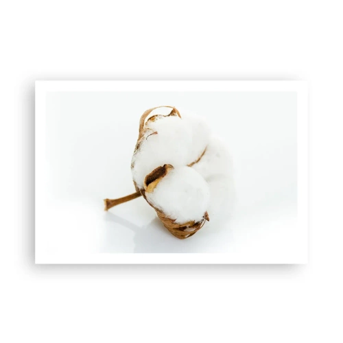 Poszter - Lágy természetű - 91x61 cm