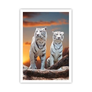 Poszter - Akárcsak Narnia - 70x100 cm