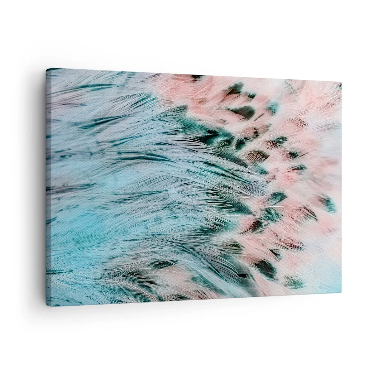 Vászonkép - Pasztell zafírrózsaszín színű tollak közeli képe - 70x50cm - Zafír rózsaszín pehely - Modern fali dekoráció nappalihoz és hálószobához ARTTOR